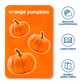 Letters, Numbers & Shapes Flash Cards