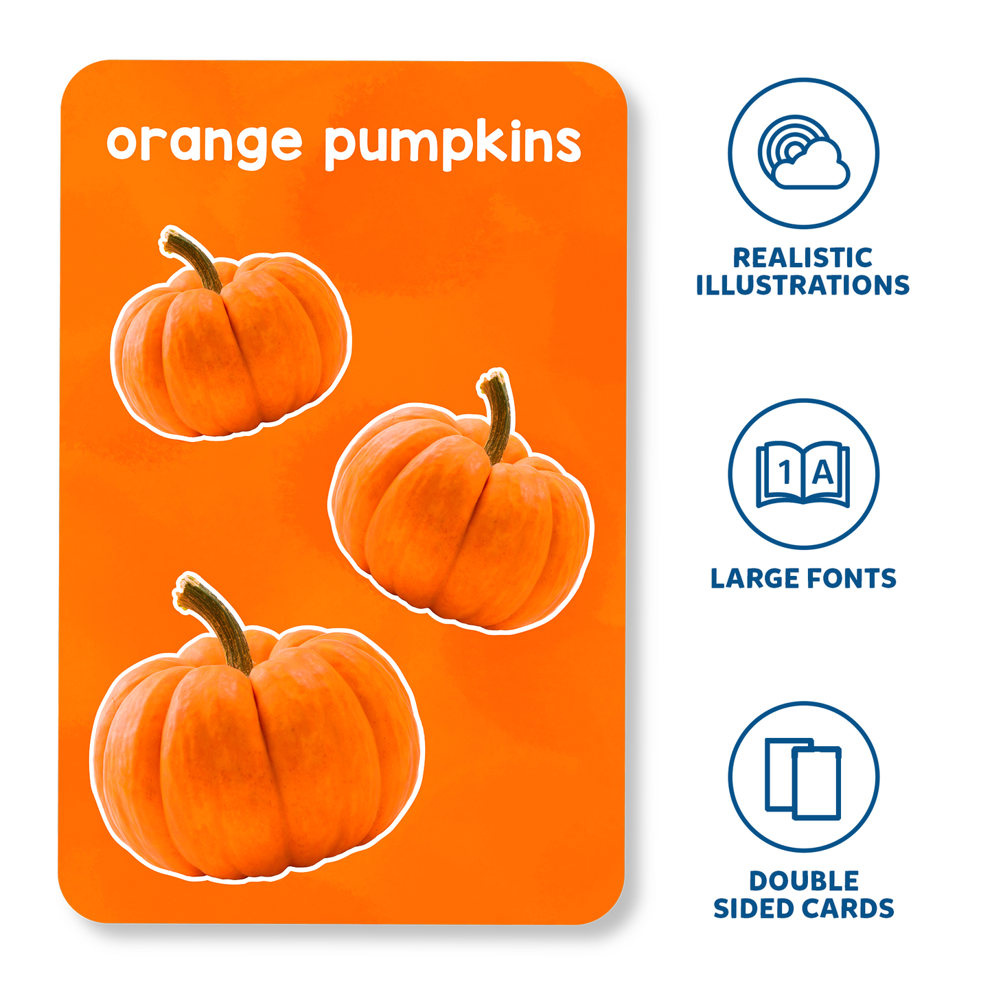 Letters, Numbers & Shapes Flash Cards