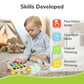 Match n Learn - Shape Sorter