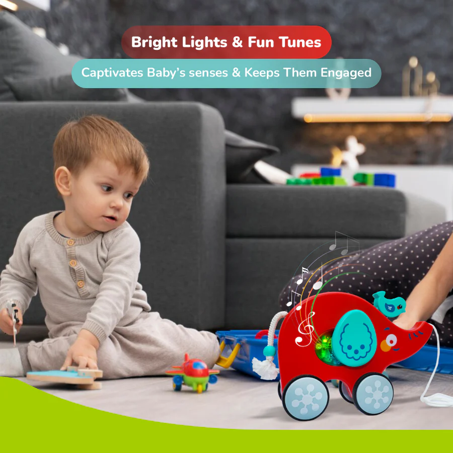 Trunky Pull Along Toy